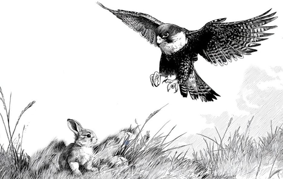 The Uzbek falcon and its prey